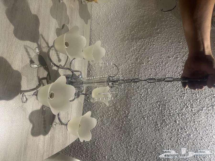 تصفيه ثريات ذهبي وفضي نوع واحد فقط64239043648769110