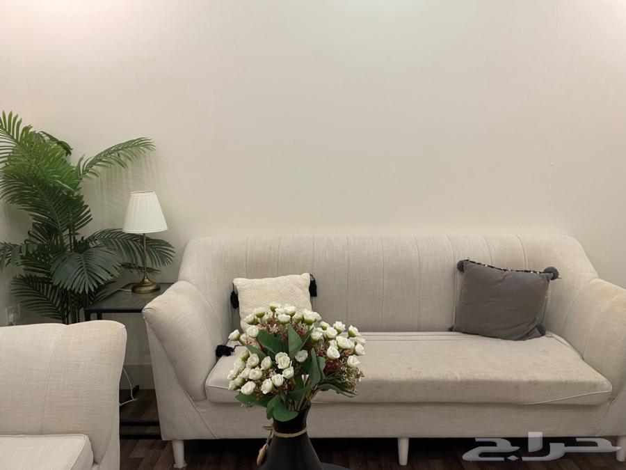 كنب للبيع64255537431555110