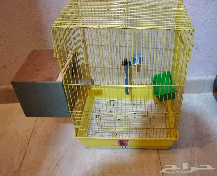 قفص طيور للبيع64253578458497110