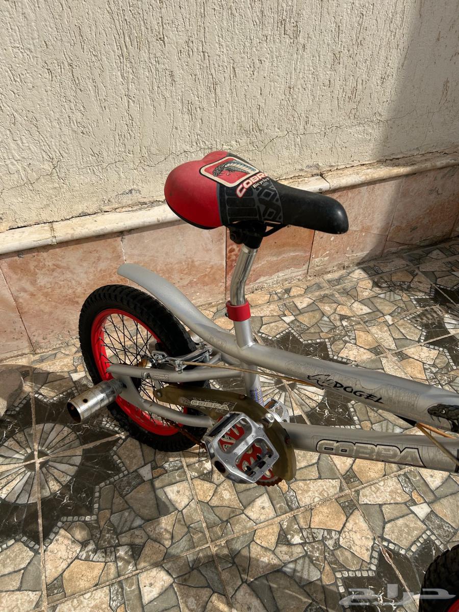 دراجه كوبرا مقاس 1664262701247617110