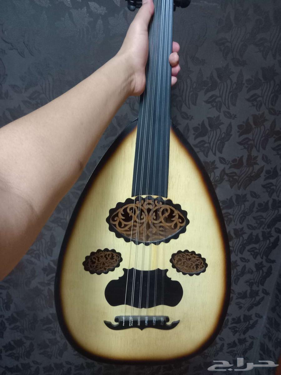 للبيع عود64264980622593111