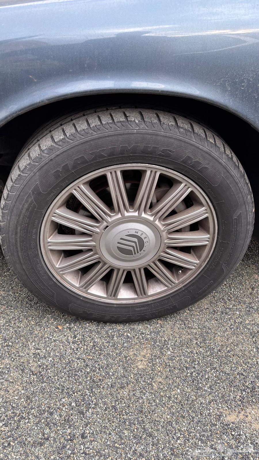 للبيع جنوط ماركيز مقاس 1764421702664833113