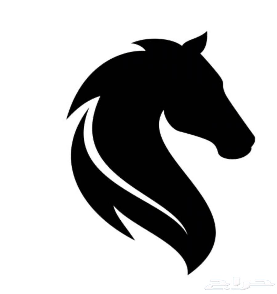 Ajmal Shampoo for Horses, Camels, and Livestock64266674073986113