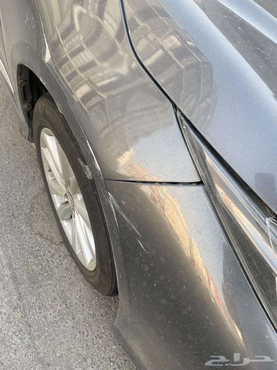 Korla 2024 for transfer64430448417923112