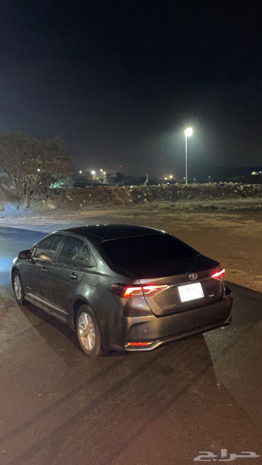 Korla 2024 for transfer64430448417923113