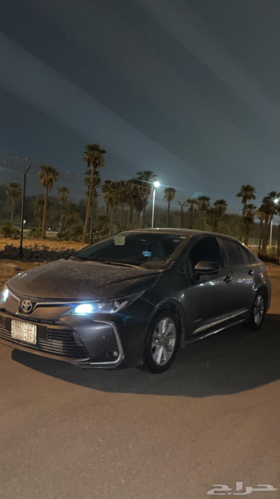 Korla 2024 for transfer64430448417923114