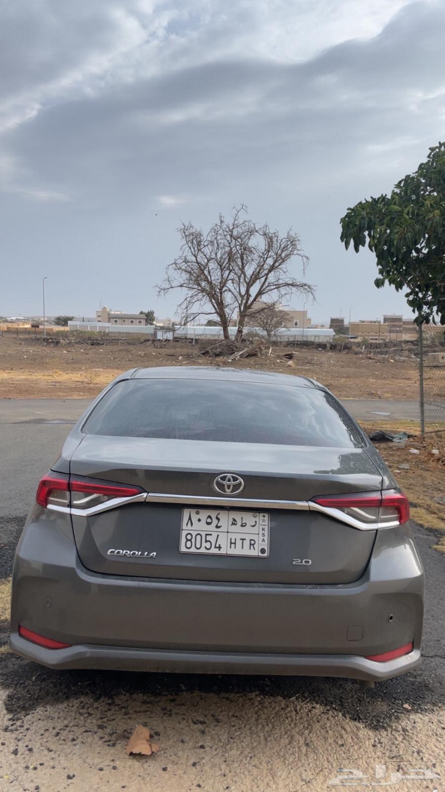 Korla 2024 for transfer64430448417923111