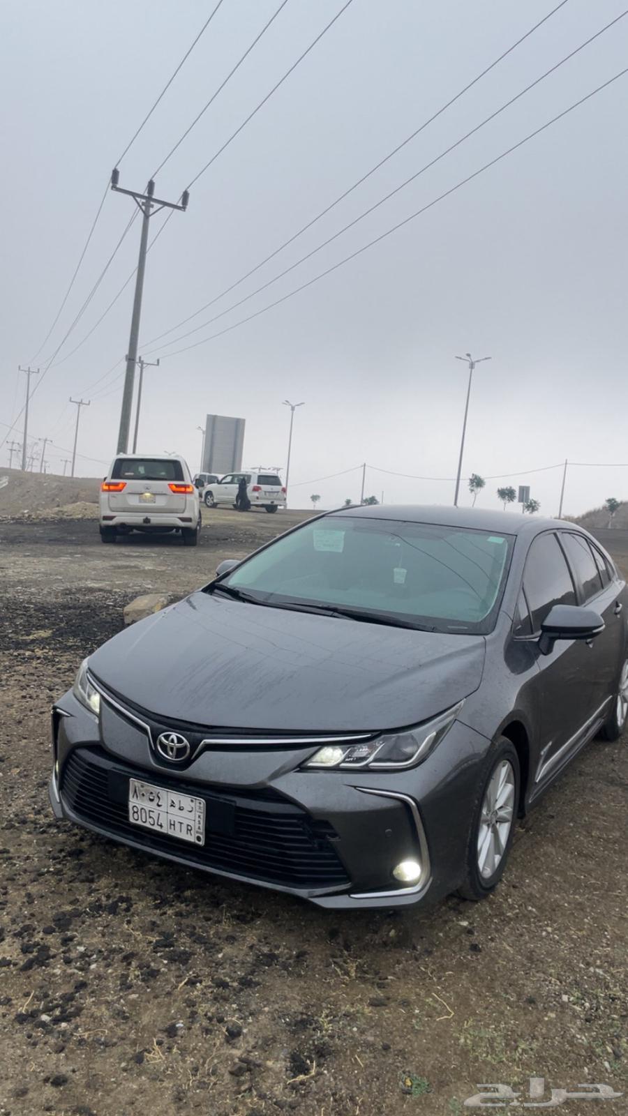 Korla 2024 for transfer64430448417923110