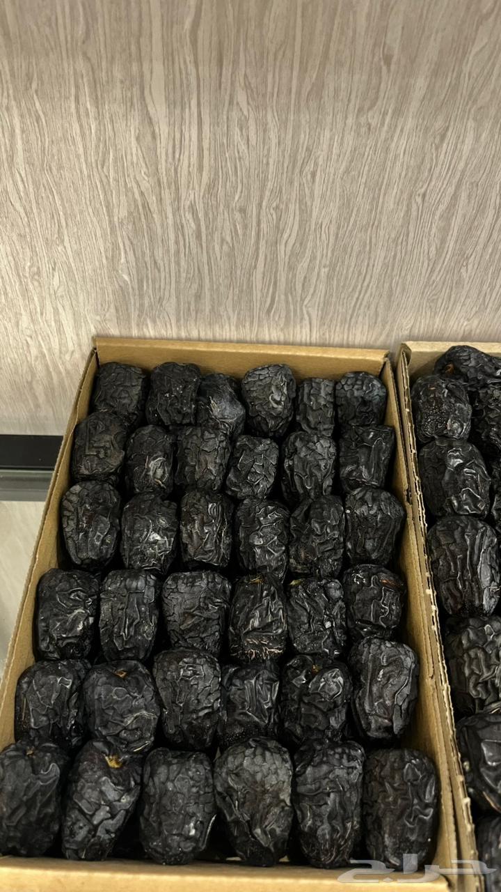 Medina Dates64308697316995110