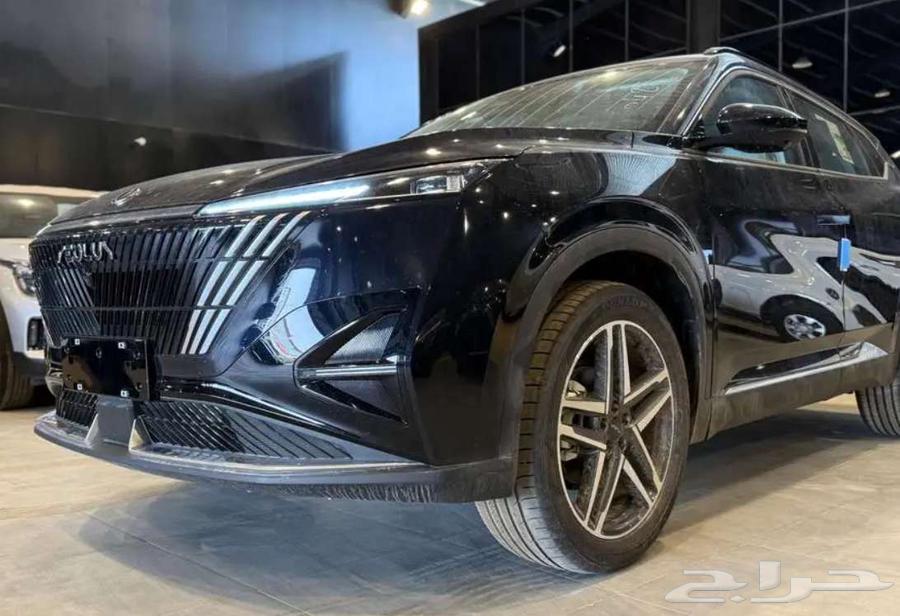 دونج فينج ميج فل كامل 2025 عرض خاص64444311925123111