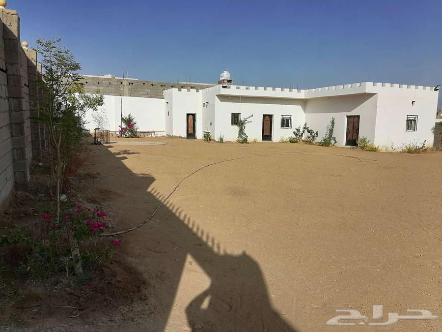 سكن عمال او مستودع للإيجار الشهري63613614837762112