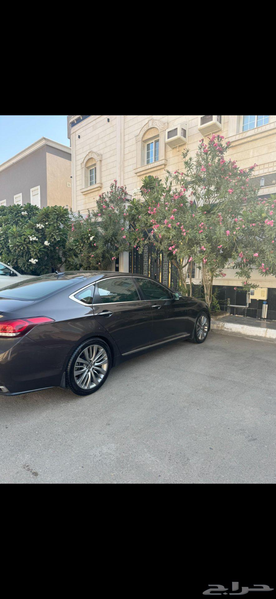 للبيع جنسس بودي بلد ولون مميز64461925350530110