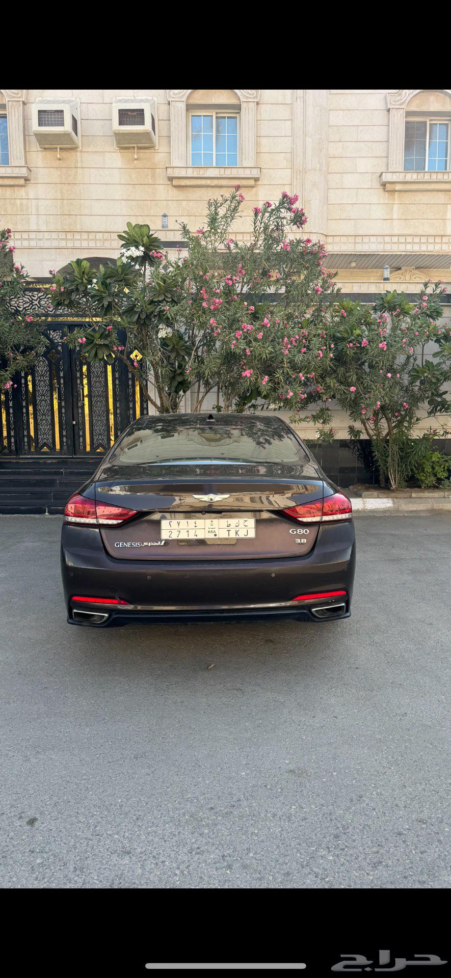 للبيع جنسس بودي بلد ولون مميز64461925350530112