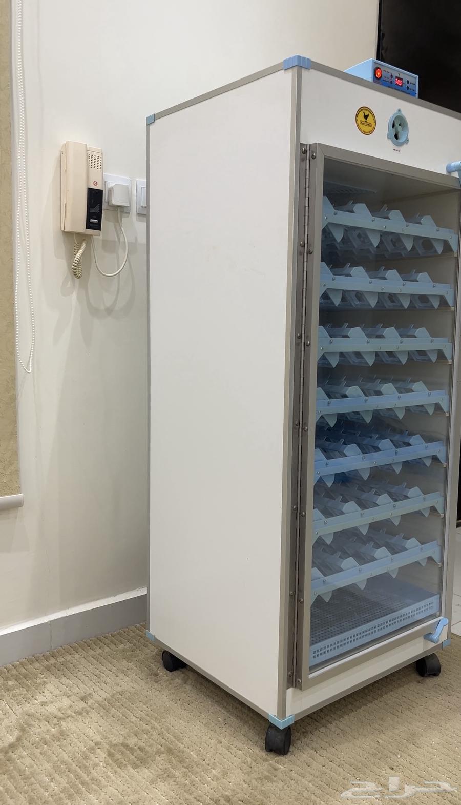 فقاسه تايلندي64324410336898112