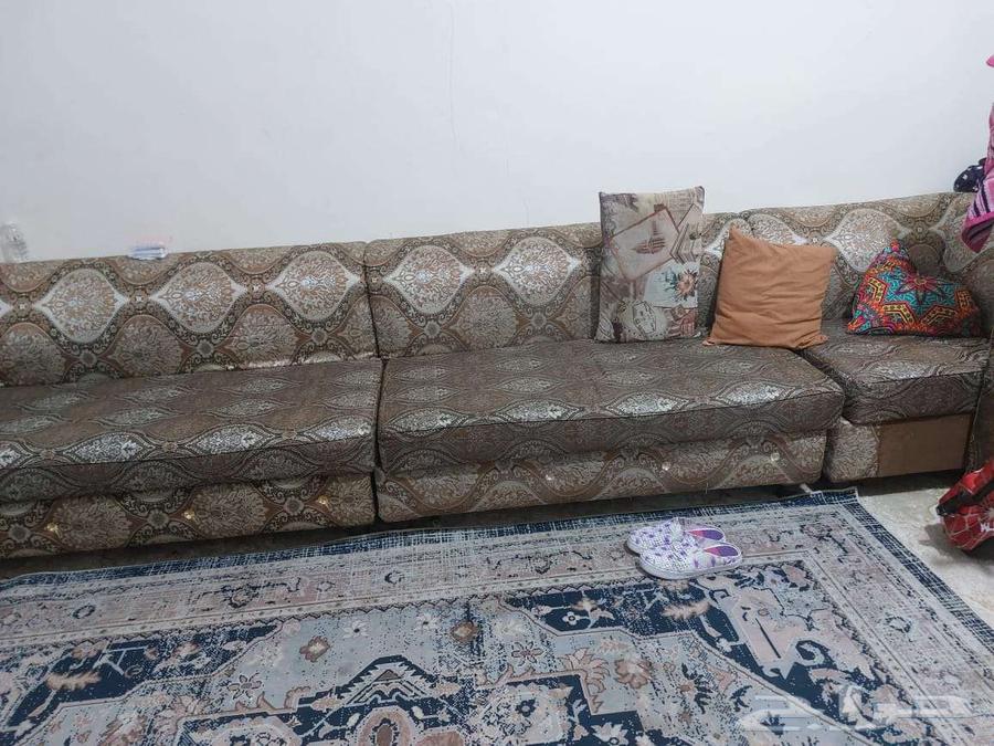 كنب مشجر64358322936705110