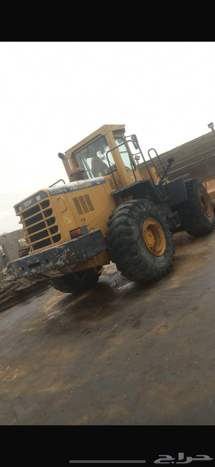 شيول صيني sEM64472429320194111