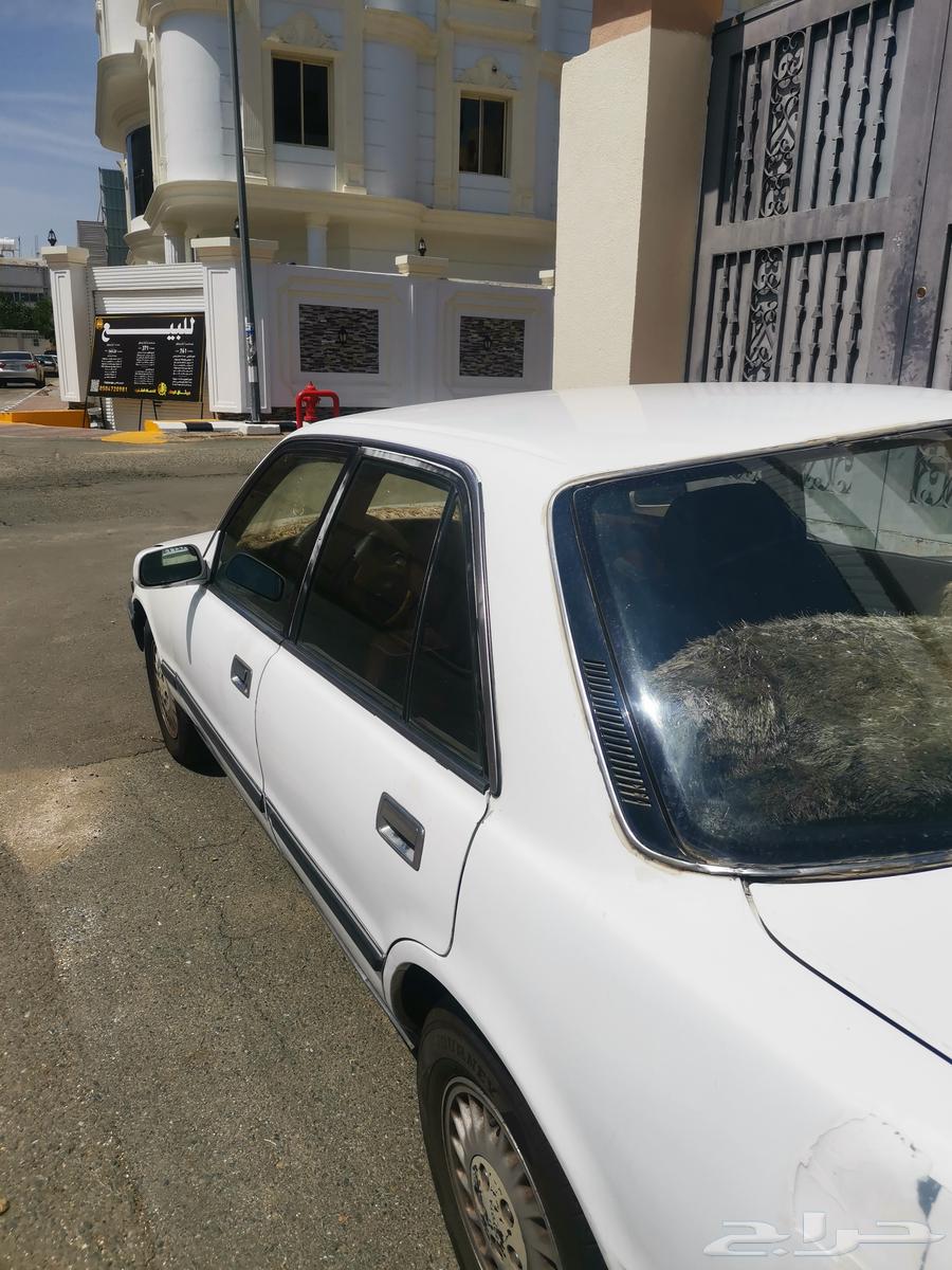 Al Taif64465395564930112