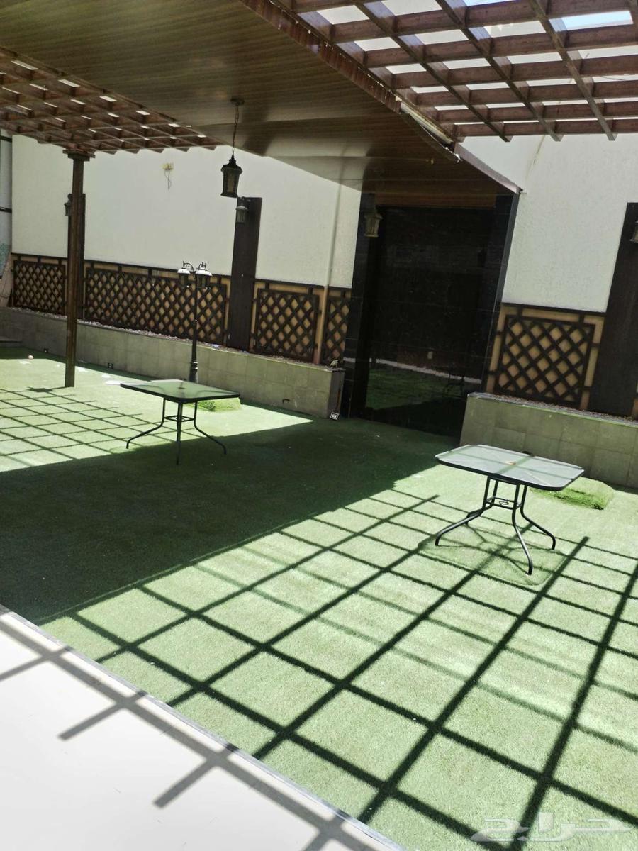 ايجار مكاتب ومساحات عمل. باقي مكتبين فقط63617035216002112