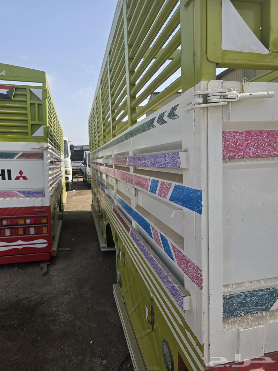 صندوق للبيع جديد64433350397570110