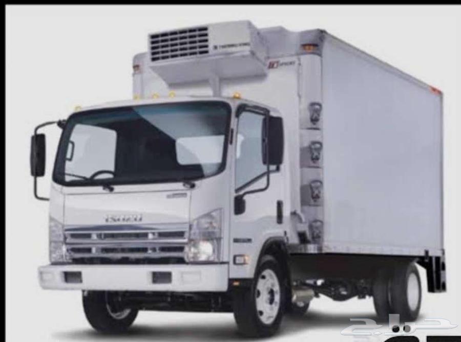 دينا ايسوزو تبريد وتجميد64474471812099110