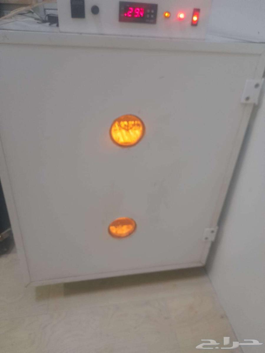 Incubator with Italian specifications64347603424897112