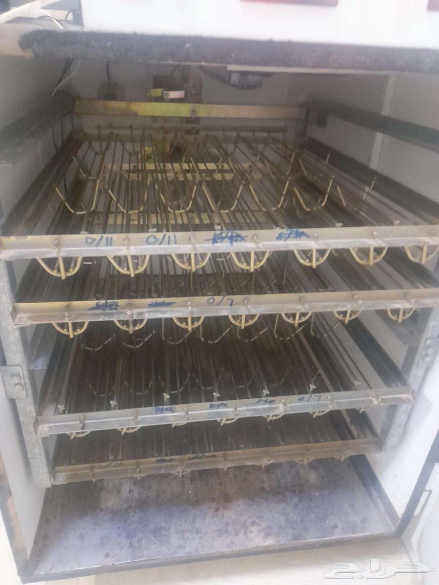 Incubator with Italian specifications64347603424897111