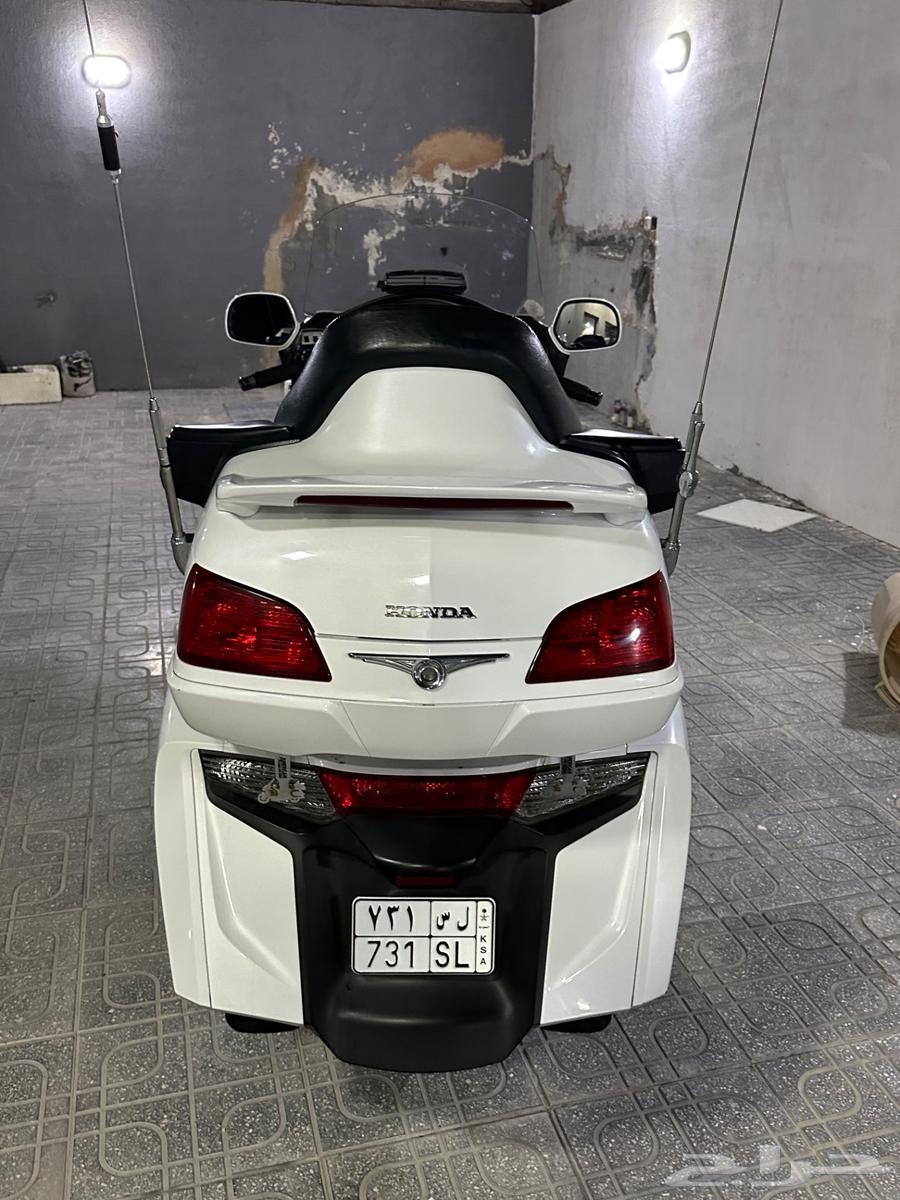 قولد وينق64493218825090112