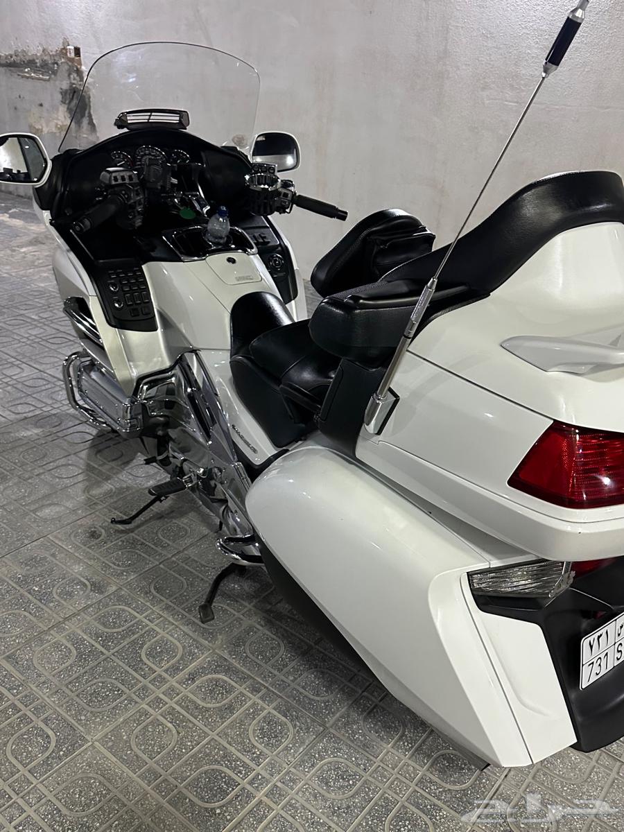 قولد وينق64493218825090111