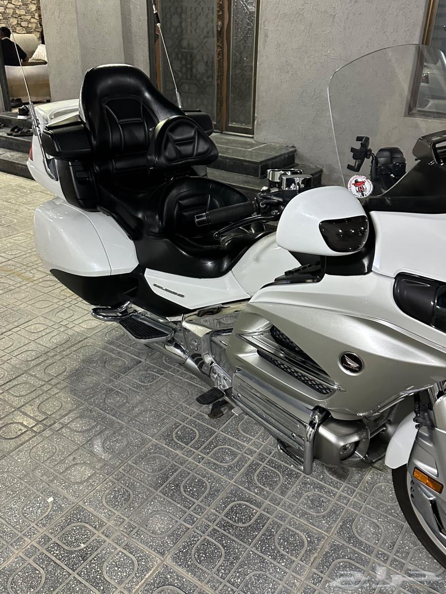 قولد وينق64493218825090110