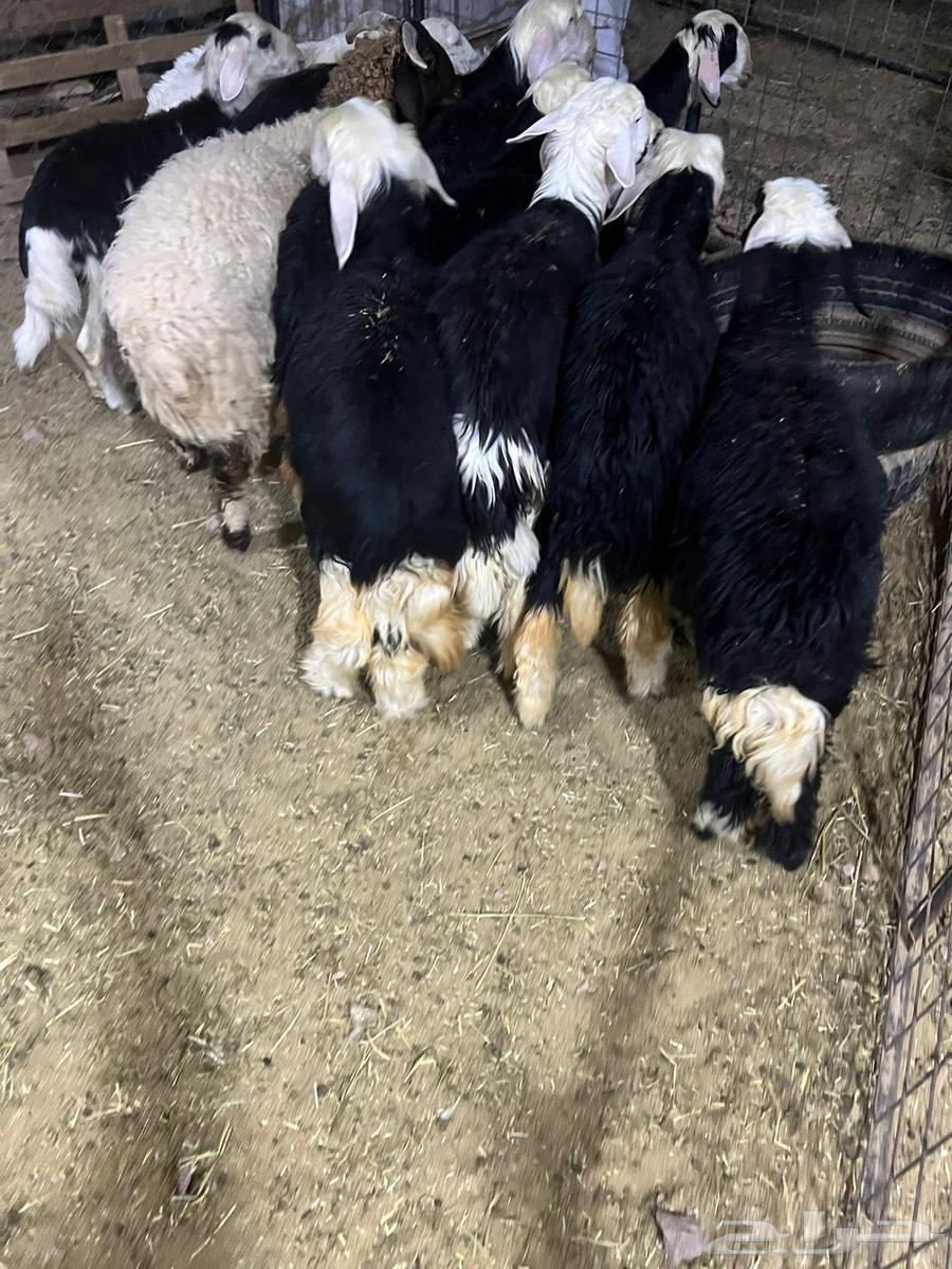 We need help64348978908161114