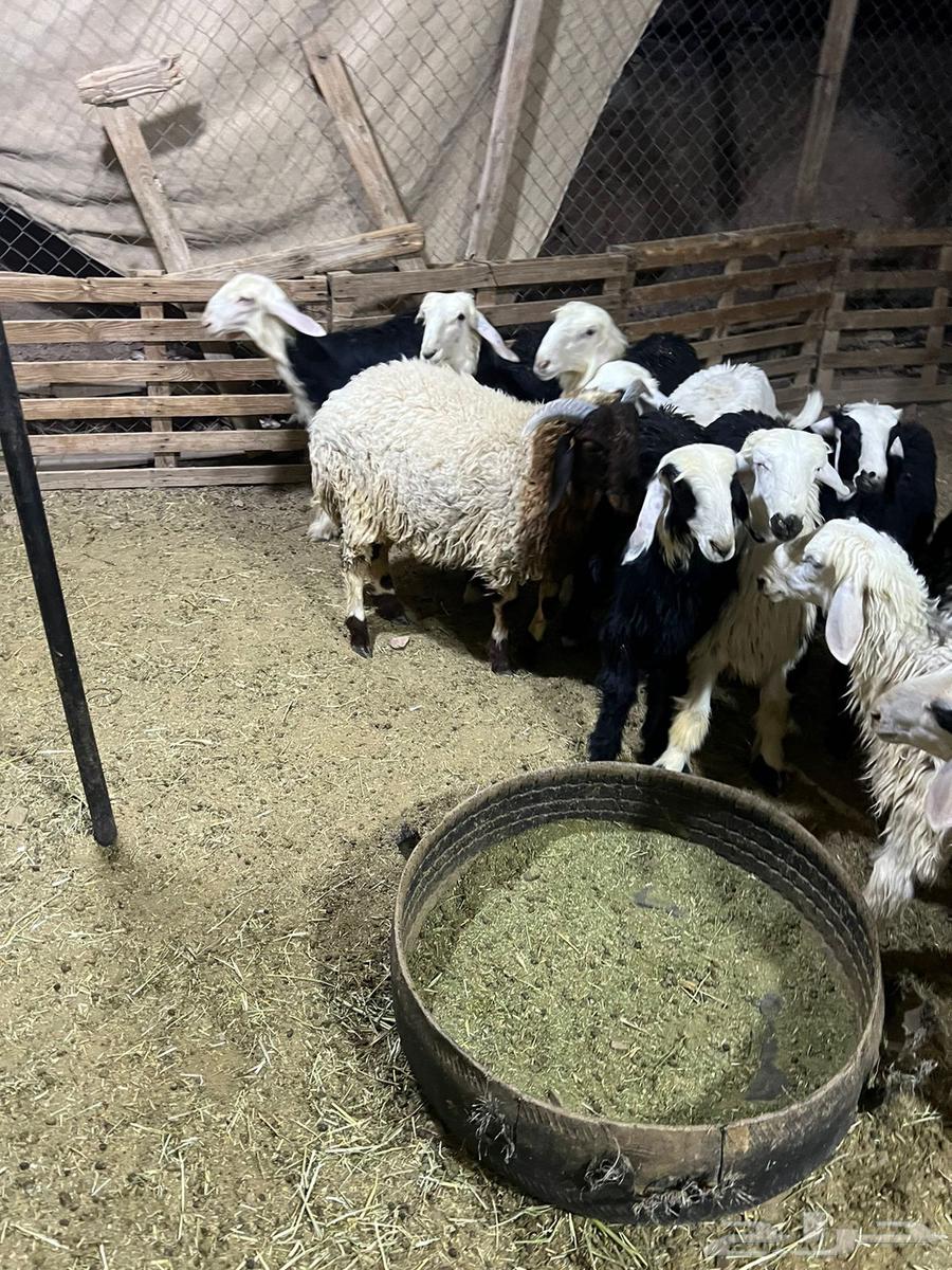 We need help64348978908161113