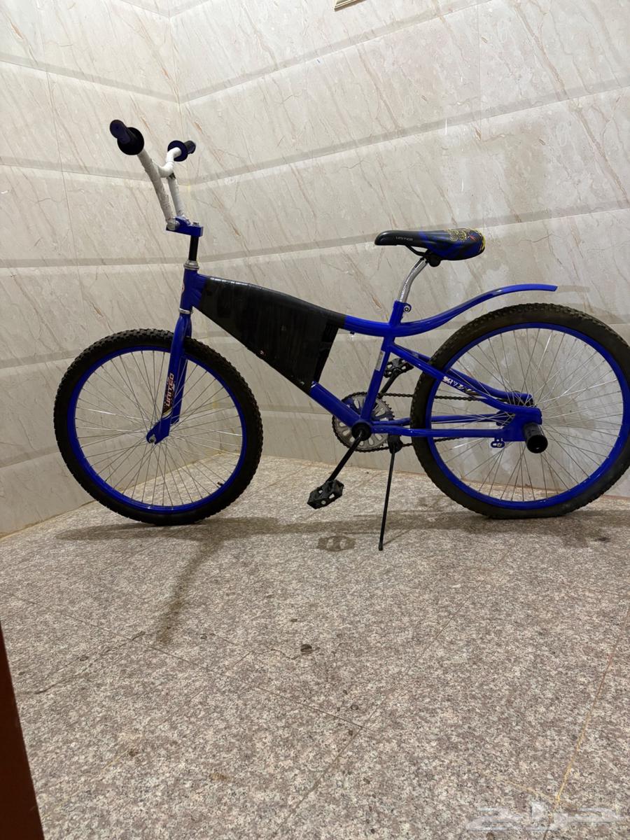 Cycl64349198675202114