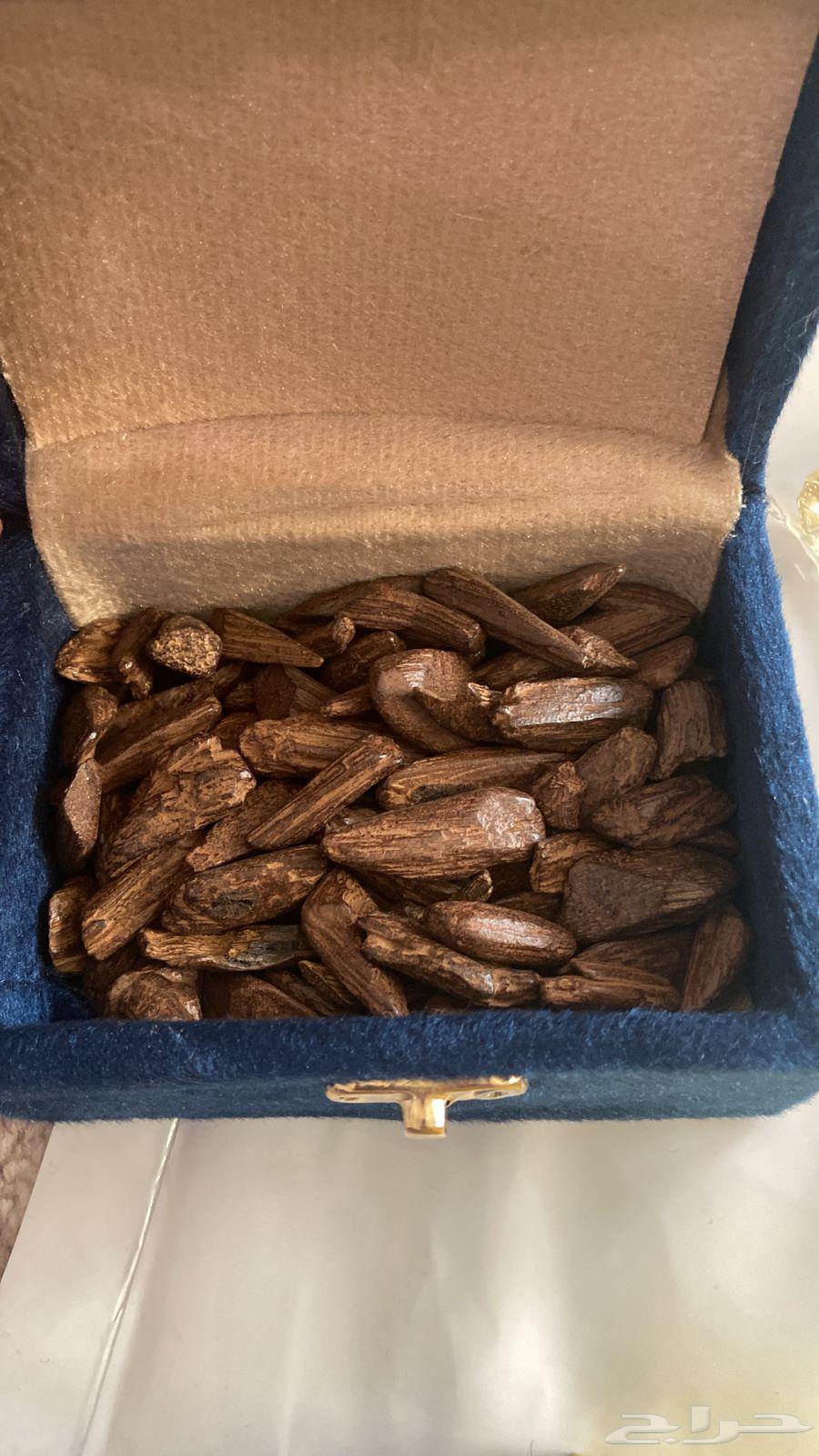 عود مروكي محسن فاخر .64337752130305113