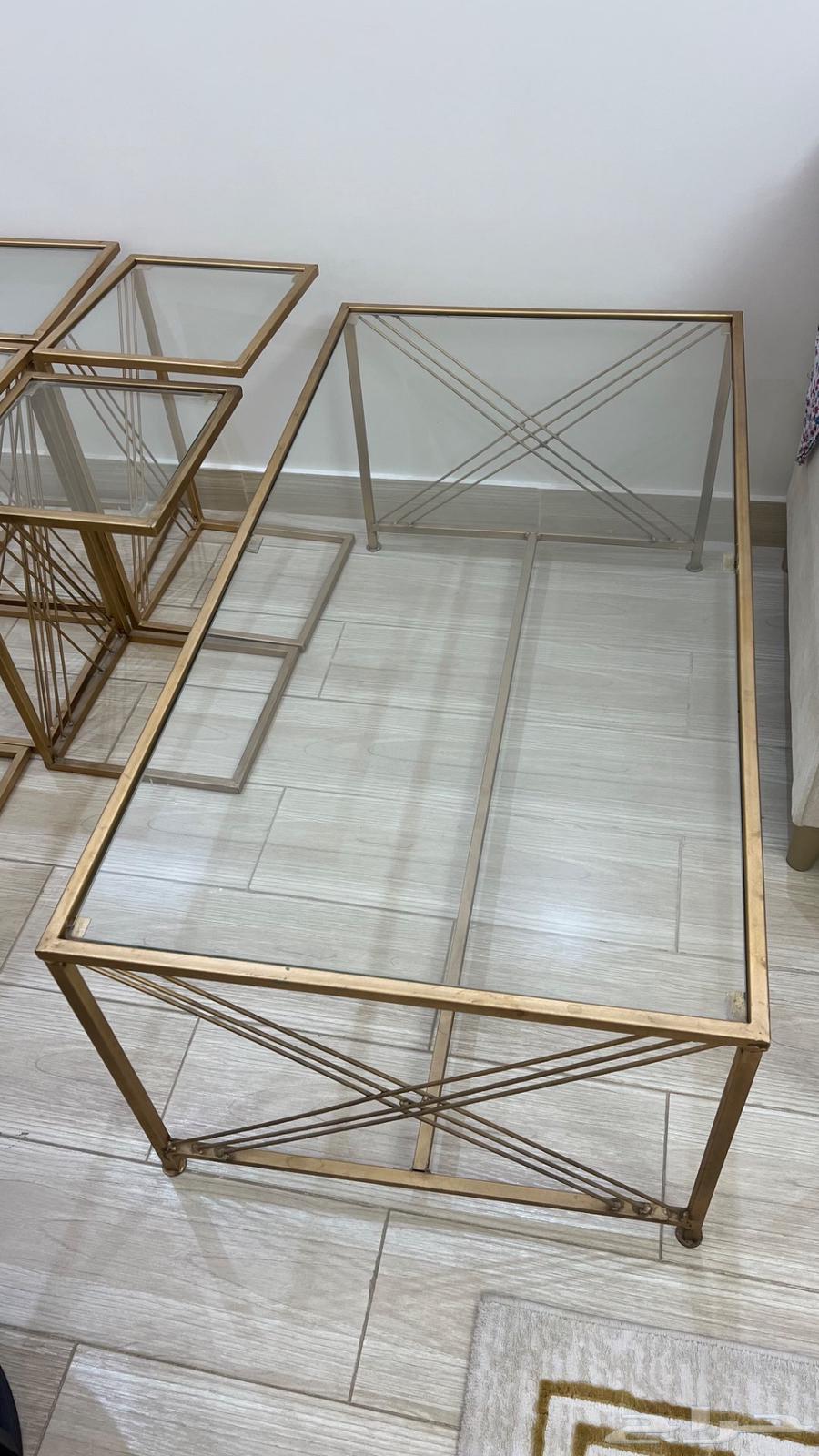 Council tables with a carpet64341659843841111