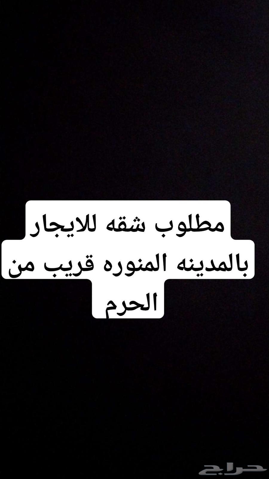 مطلوب شقه للايجار بالمدينه63613850951809110