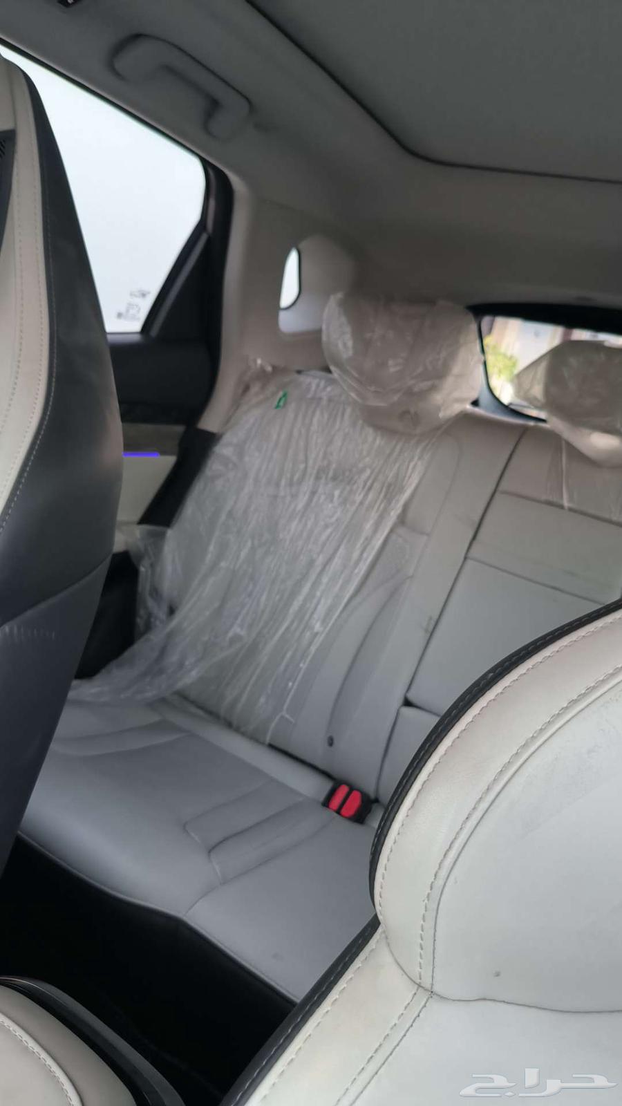 جيتور داشينج نظيف64490701579266114