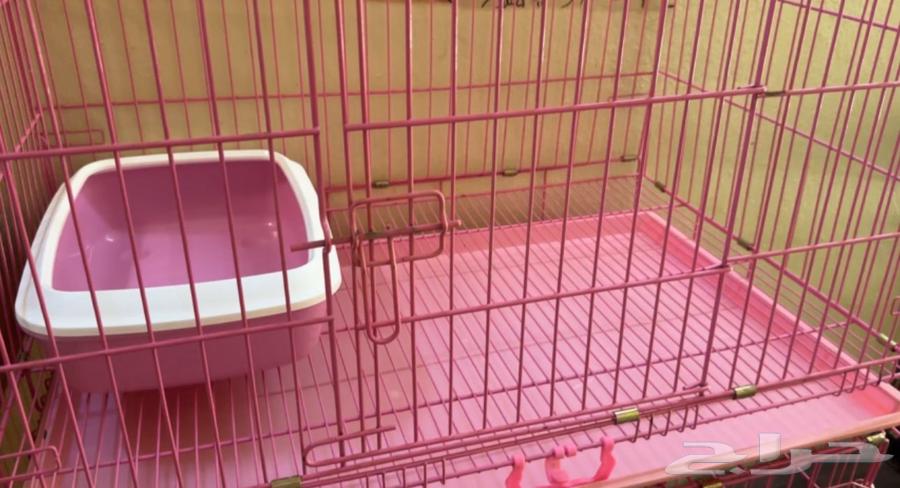 بوكسات قطط وكلاب64342351065089114