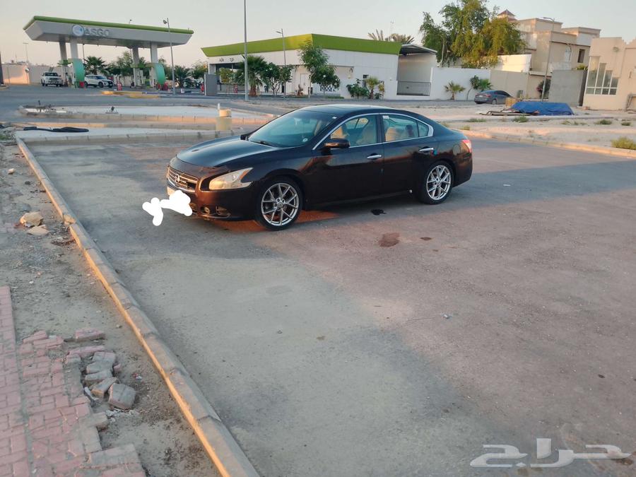 Maxima 2010 for sale instead64489142385281114