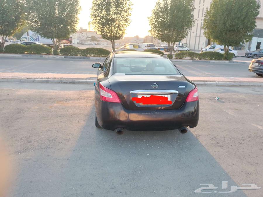 Maxima 2010 for sale instead64489142385281112