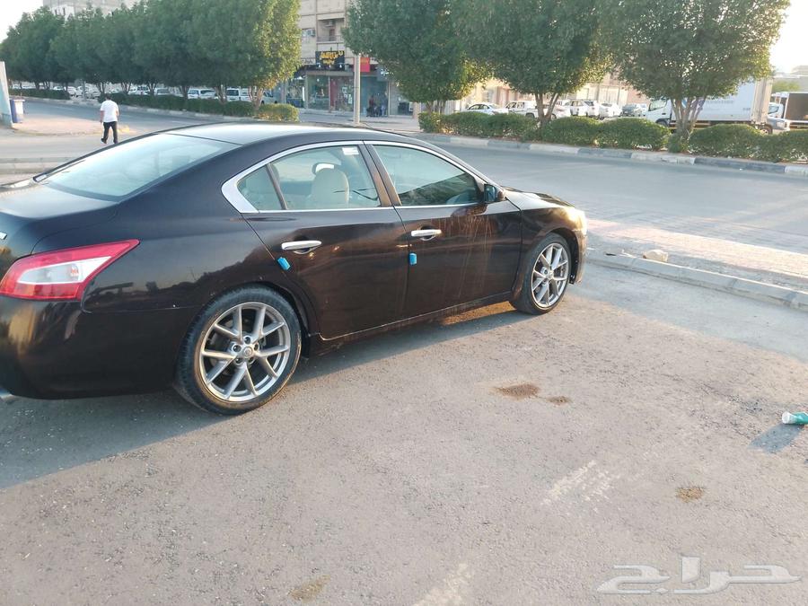 Maxima 2010 for sale instead64489142385281113