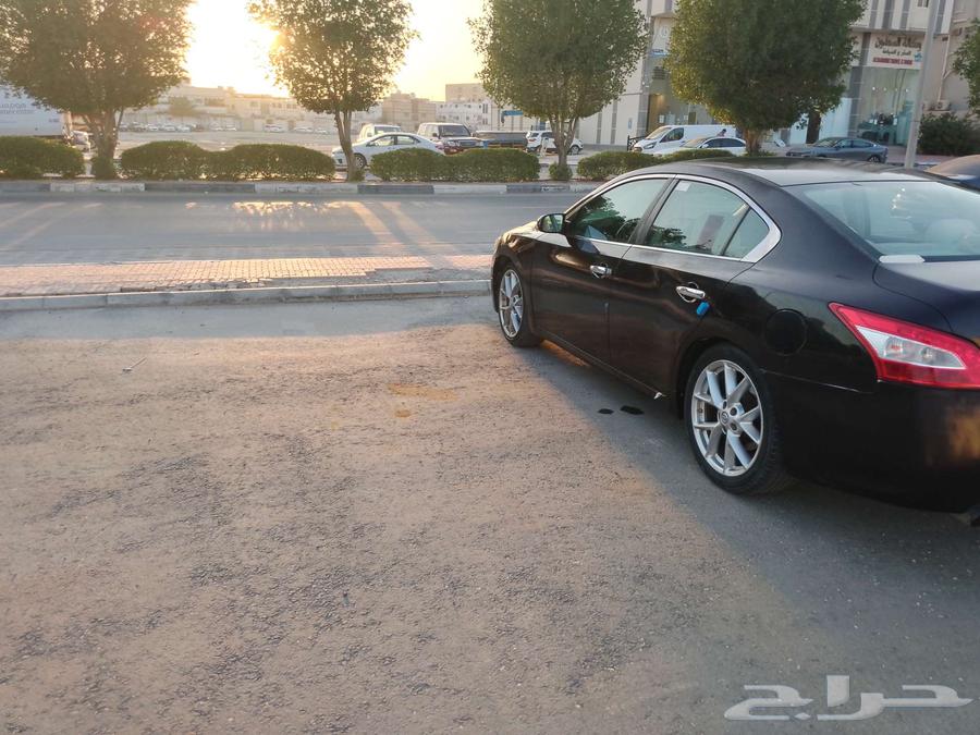 Maxima 2010 for sale instead64489142385281110