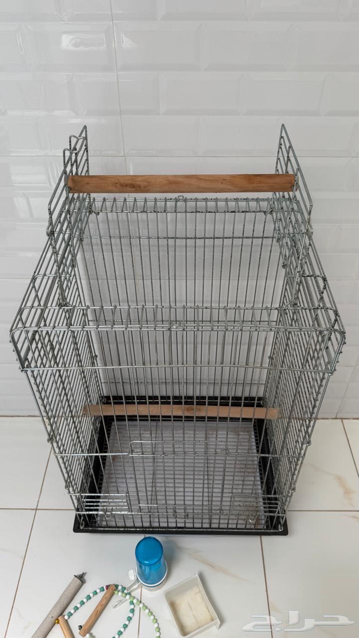 Large, medium, and small bird cage64353883757953111