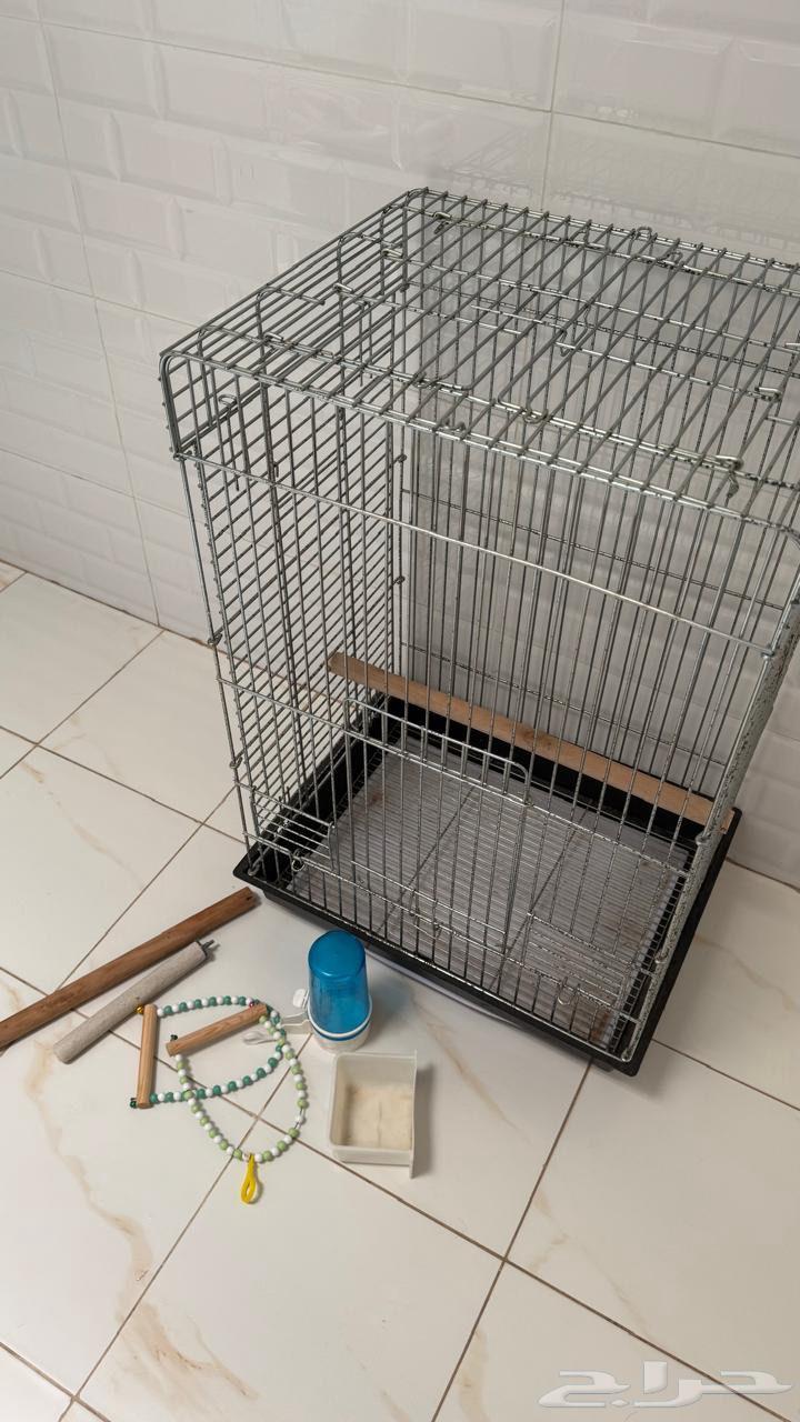 Large, medium, and small bird cage64353883757953112