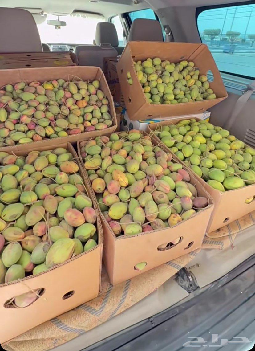 لوز شي طيب ويوجد توصيل64355610881153110