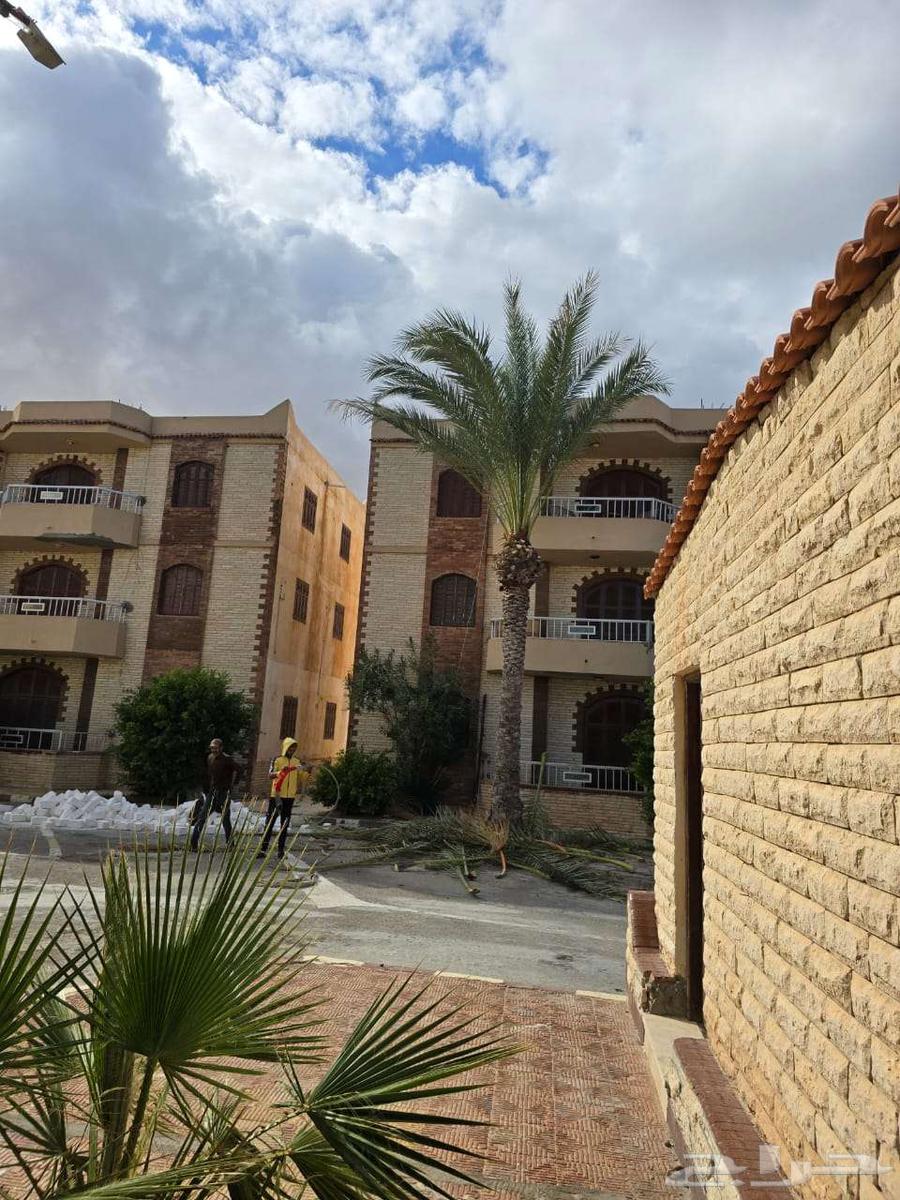 مطلوب مكتب للايجار63613860087681111