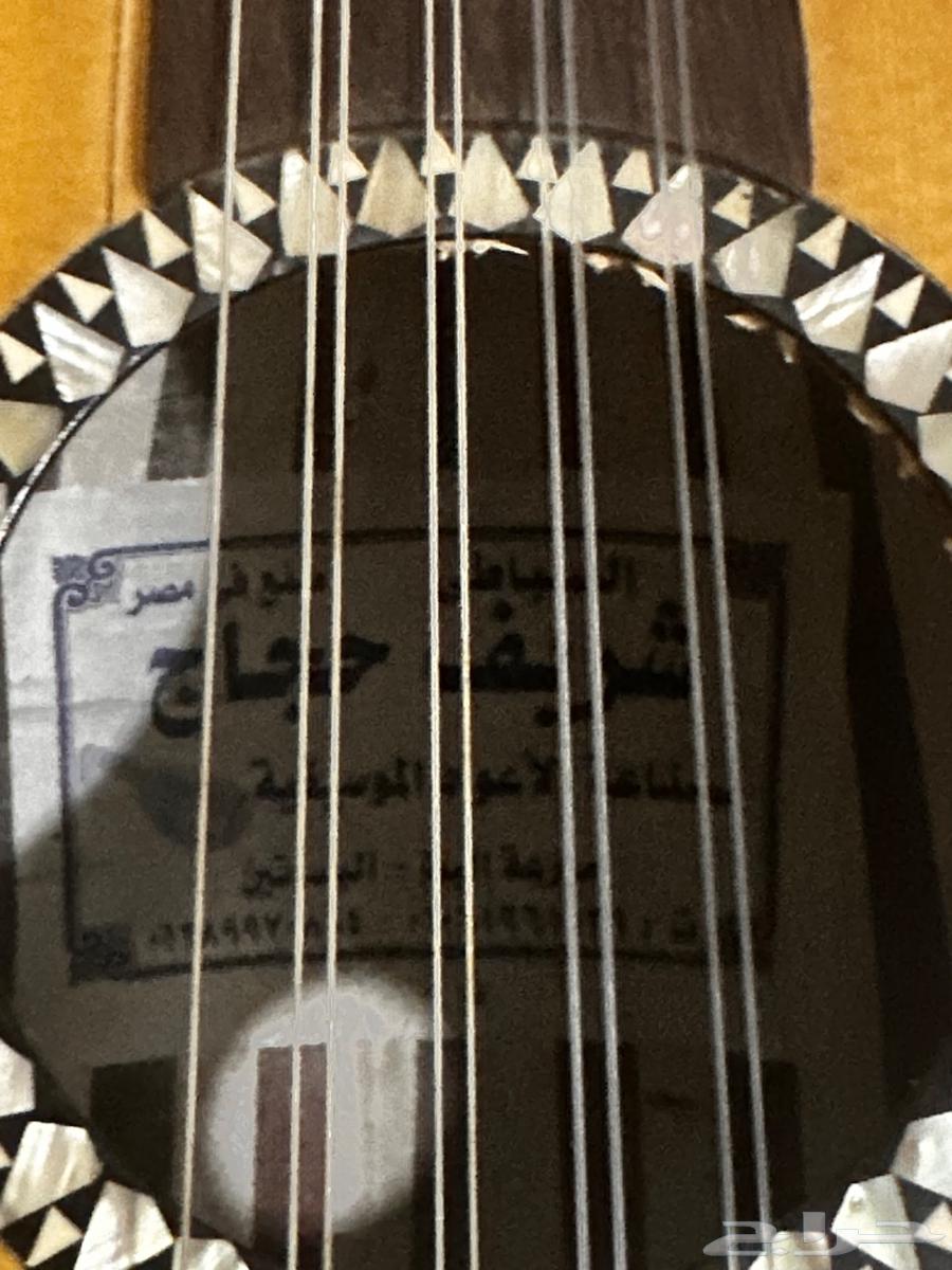 عود حجاج للبيع عالسوم64353986787970110