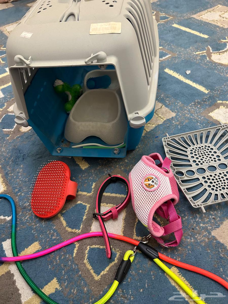 قفص قطه وقفص كلب مع حبل وصحن اكل وطوق وحزام64363294243202111