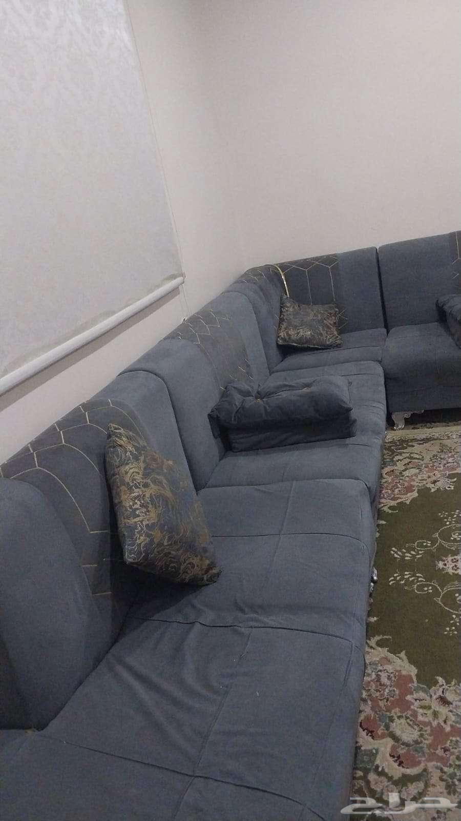 Sofa   Carpet64353453270017112