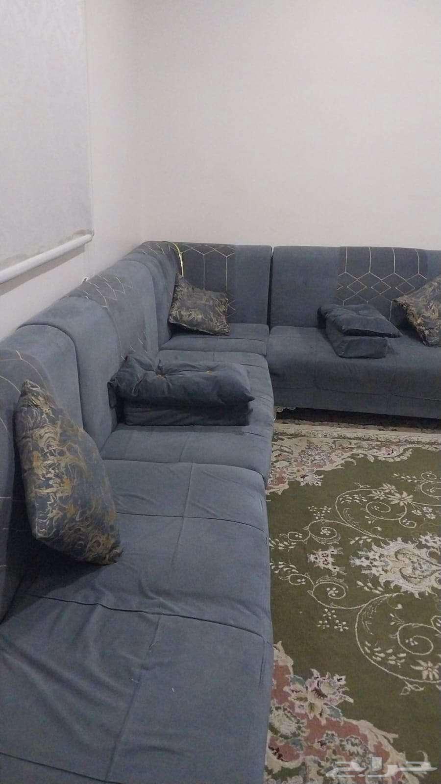 Sofa   Carpet64353453270017113