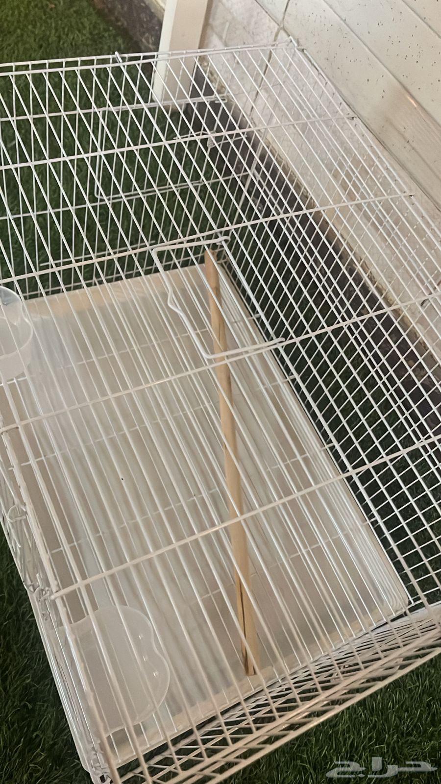 Bird Cages64359691282945110